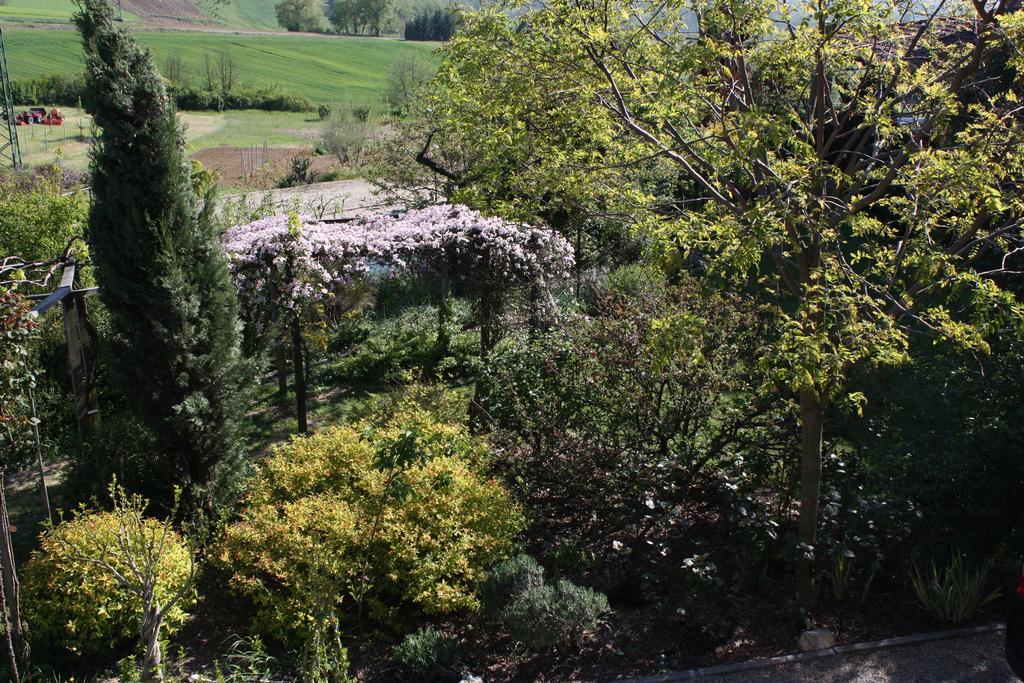 B&B La Casetta Villaromagnano Екстер'єр фото